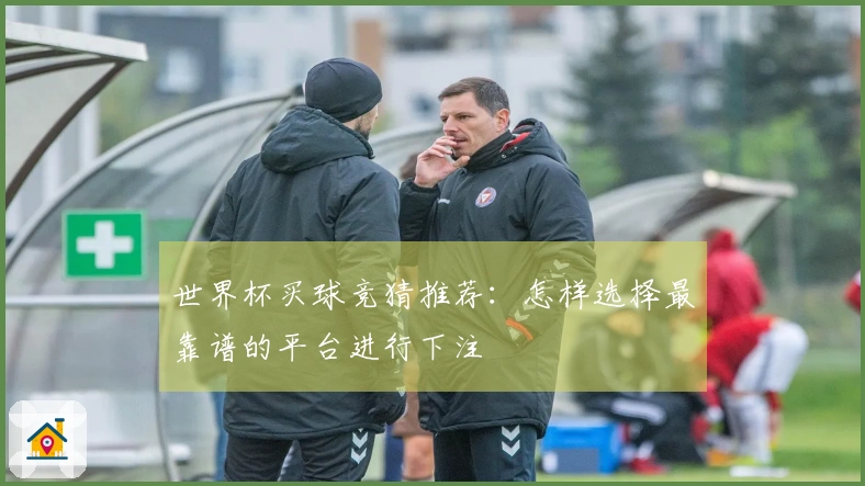世界杯买球竞猜推荐：怎样选择最靠谱的平台进行下注