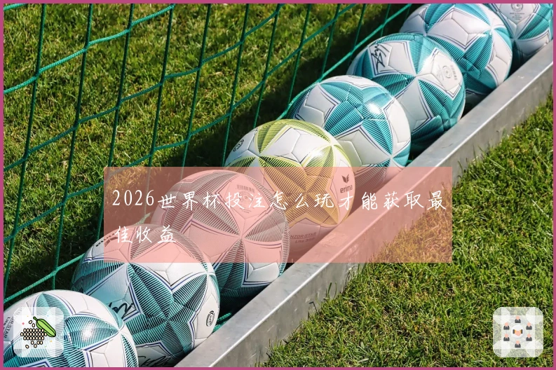 2026世界杯投注怎么玩才能获取最佳收益