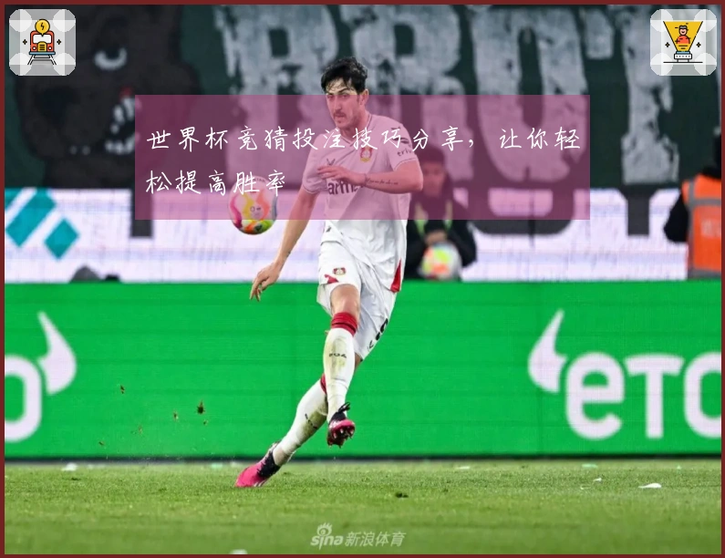 世界杯竞猜投注技巧分享，让你轻松提高胜率