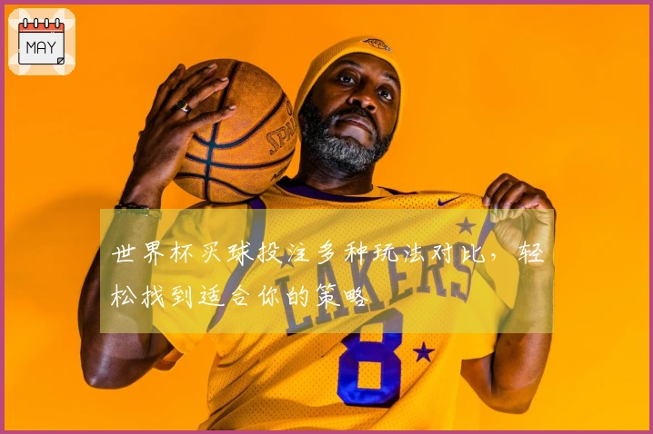 世界杯买球投注多种玩法对比,轻松找到适合你的策略