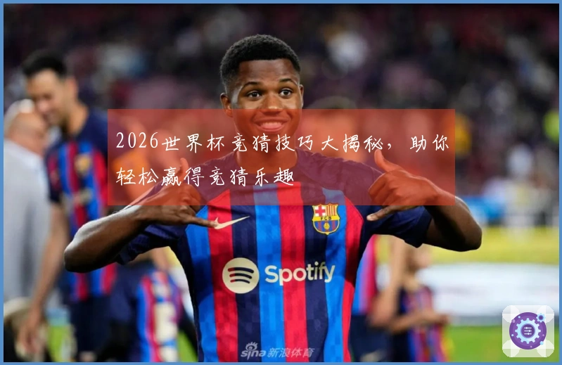 2026世界杯竞猜技巧大揭秘，助你轻松赢得竞猜乐趣