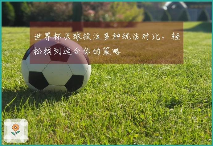 世界杯买球投注多种玩法对比，轻松找到适合你的策略