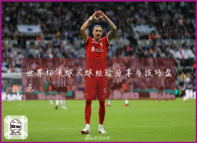 世界杯滚球买球经验分享与技巧盘点