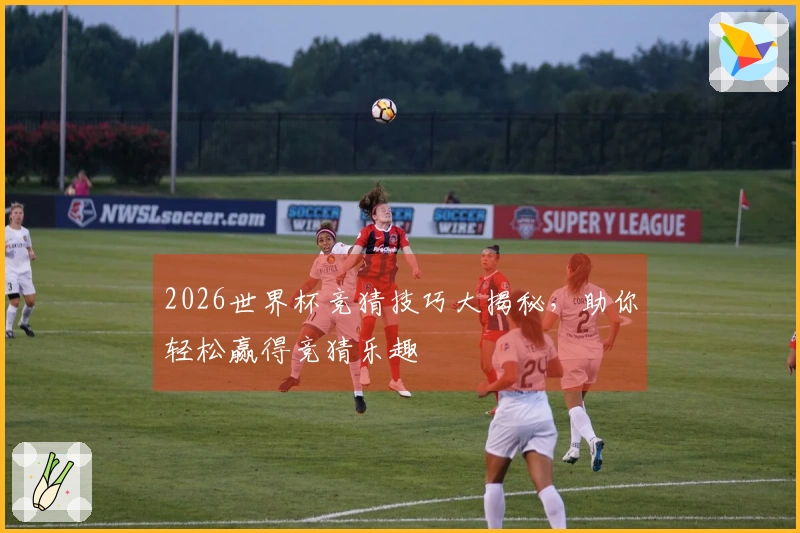 2026世界杯竞猜技巧大揭秘，助你轻松赢得竞猜乐趣