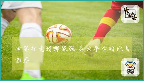 世界杯竞猜哪家强 各大平台对比与推荐